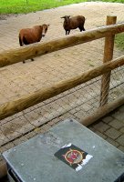 68_slayer-zoo.jpg