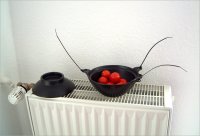 68_topfkaefer-2.jpg